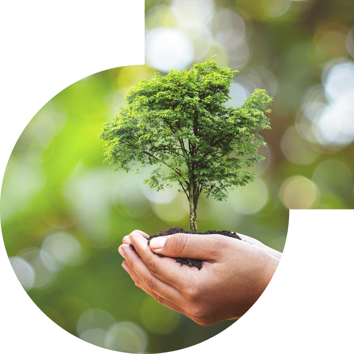 关怀人类、文化、环境与社会