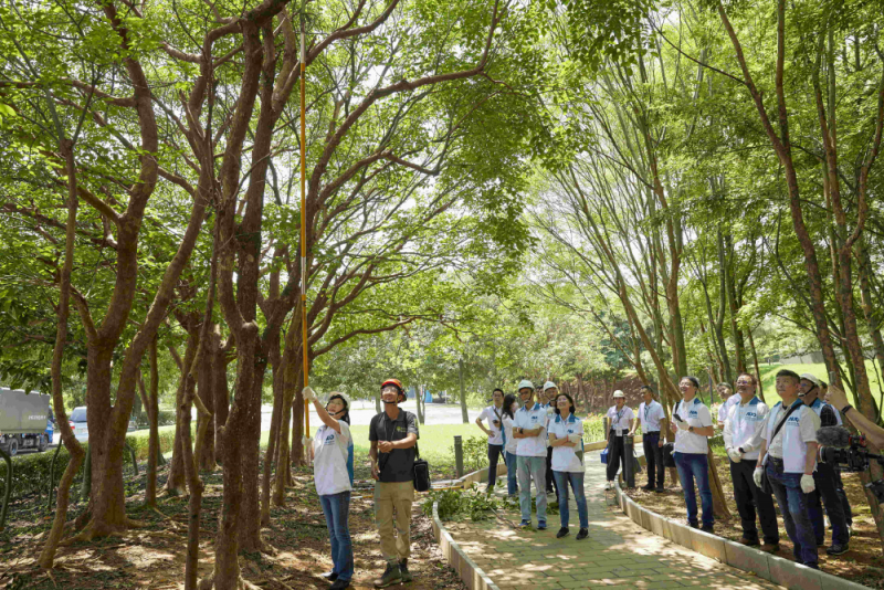 藝師教導大家認識樹木、檢查樹的健康狀況，學習修枝及碎枝覆土