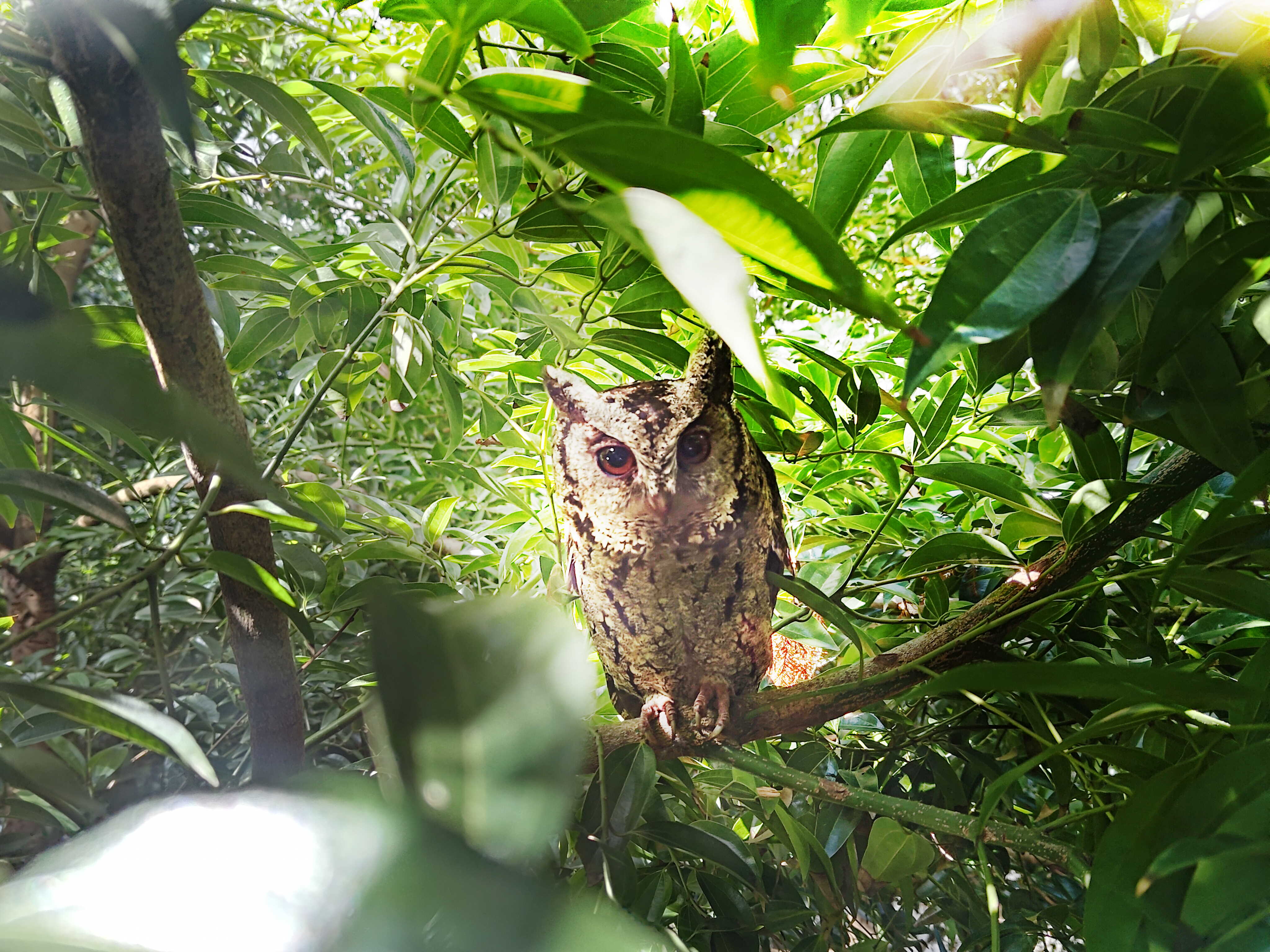 米兰·(milan)致力提倡净零绿生活，16年以来在全球各厂区植树逾百万棵，造就各厂区树木蔚然成林，犹如森林工厂，成为许多生物的栖息地